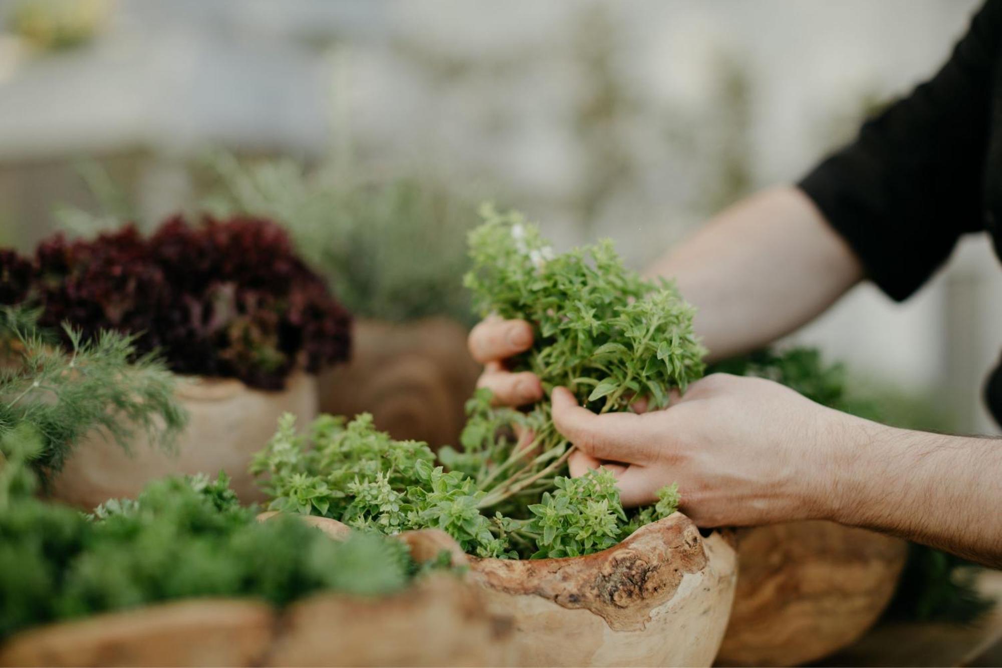 Jw Marriott Hotel Istanbul Marmara Sea Εξωτερικό φωτογραφία A chef preparing salad greens